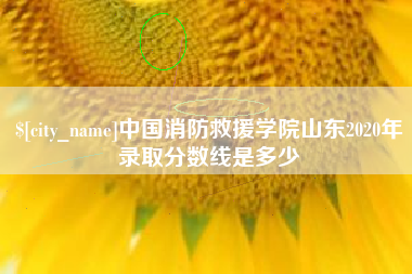 北票中国消防救援学院山东2020年录取分数线是多少