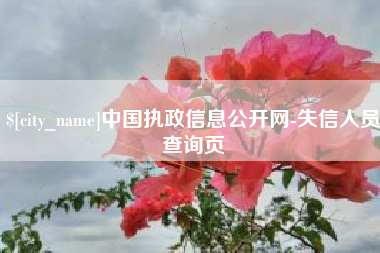 北票中国执政信息公开网-失信人员查询页