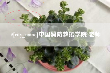 北票中国消防救援学院 老师