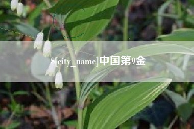 北票中国第9金