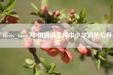 北票中国消防官网中小学消防公开课