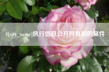 北票执行信息公开网查到的案件