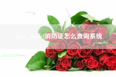 北票消防证怎么查询系统