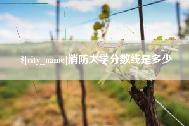 北票消防大学分数线是多少