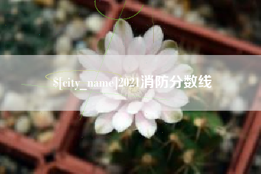 北票2021消防分数线