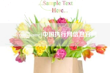 北票中国执行网信息官网