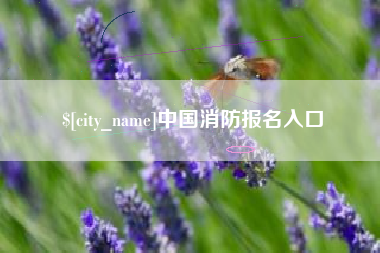 北票中国消防报名入口
