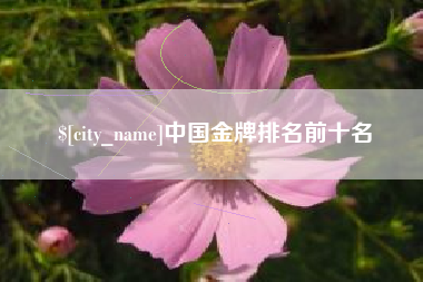 北票中国金牌排名前十名