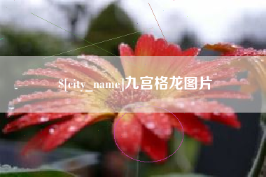 北票九宫格龙图片