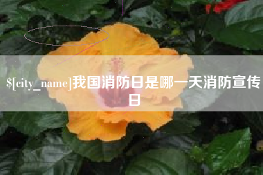 北票我国消防日是哪一天消防宣传日