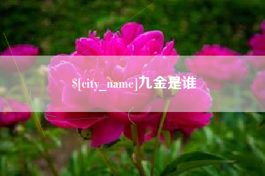 北票九金是谁