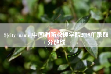 北票中国消防救援学院2019年录取分数线