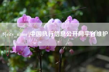 北票中国执行信息公开网平台维护