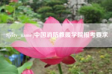北票中国消防救援学院报考要求