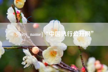 北票“中国执行公开网”