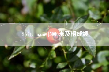 北票5000米及格成绩