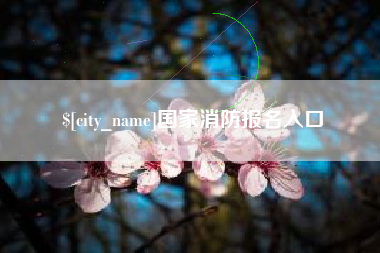 北票国家消防报名入口