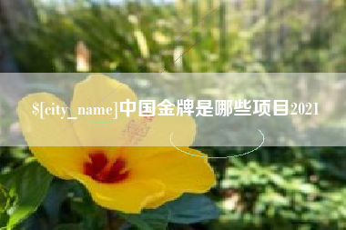 北票中国金牌是哪些项目2021