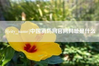 北票中国消防网官网网址是什么