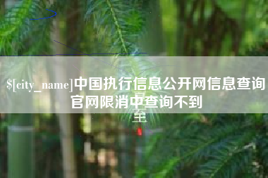 北票中国执行信息公开网信息查询官网限消中查询不到