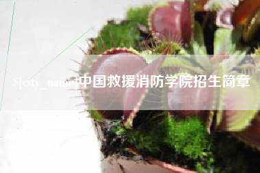 北票中国救援消防学院招生简章