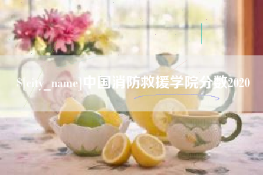 北票中国消防救援学院分数2020