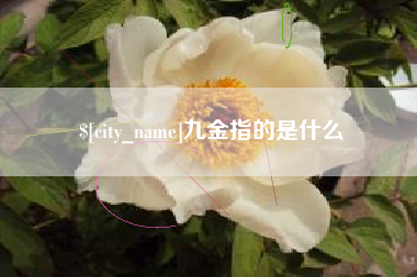 北票九金指的是什么