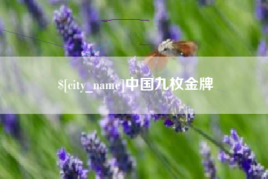北票中国九枚金牌