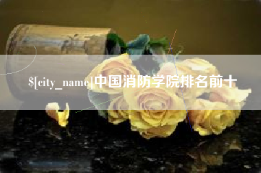 北票中国消防学院排名前十