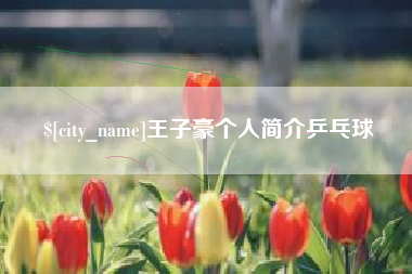 北票王子豪个人简介乒乓球