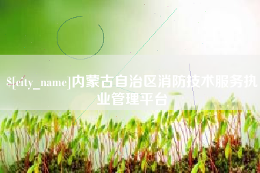 北票内蒙古自治区消防技术服务执业管理平台