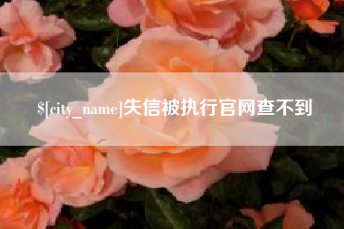 北票失信被执行官网查不到