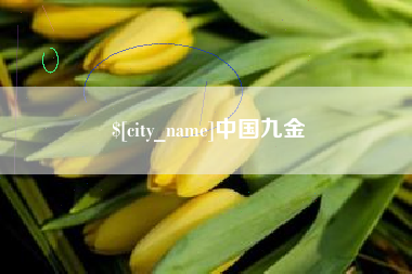 北票中国九金