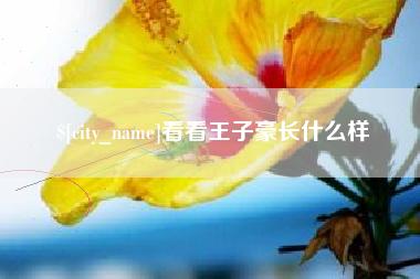 北票看看王子豪长什么样