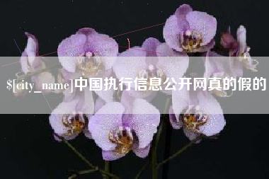 北票中国执行信息公开网真的假的