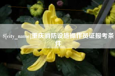 北票重庆消防设施操作员证报考条件