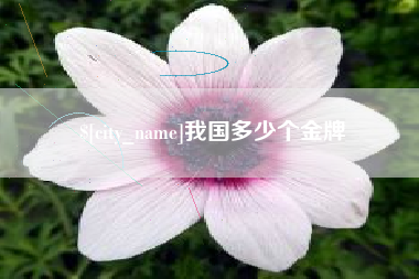 北票我国多少个金牌