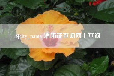 北票消防证查询网上查询