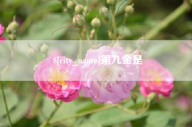北票第九金是
