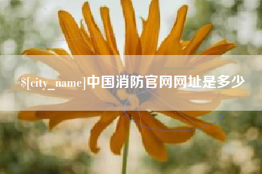 北票中国消防官网网址是多少