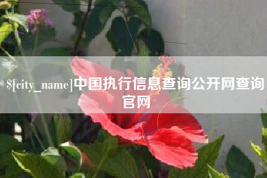 北票中国执行信息查询公开网查询官网