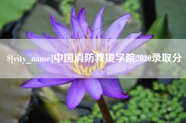 北票中国消防救援学院2020录取分