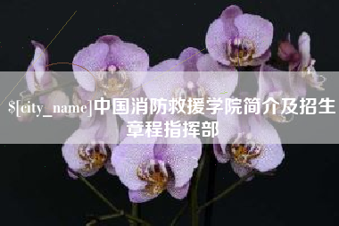 北票中国消防救援学院简介及招生章程指挥部