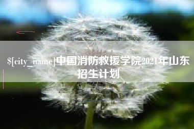 北票中国消防救援学院2021年山东招生计划