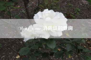 北票消防证的查询