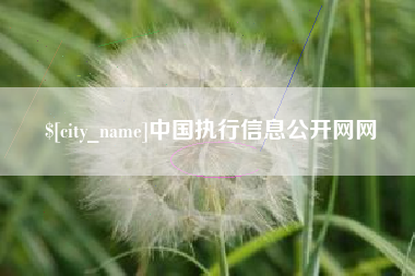 北票中国执行信息公开网网