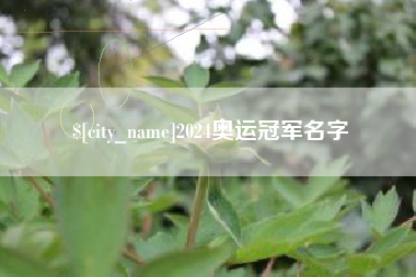 北票2024奥运冠军名字