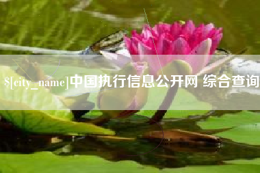 北票中国执行信息公开网 综合查询