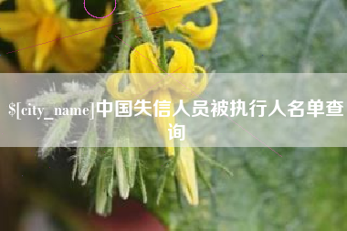 北票中国失信人员被执行人名单查询