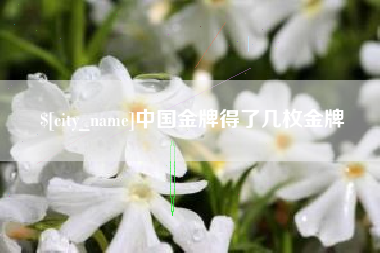 北票中国金牌得了几枚金牌